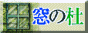 go to windows forest